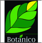 BotÃ¡nico Tenis